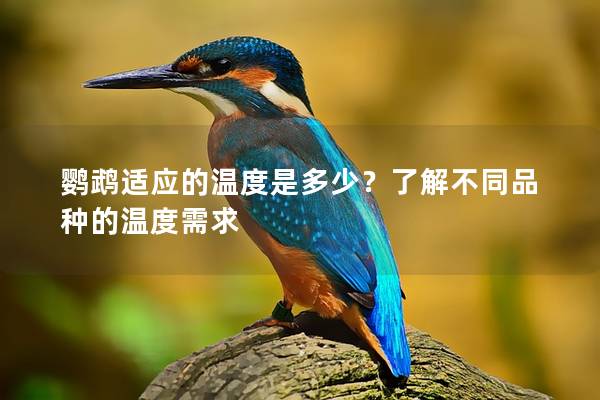 鹦鹉适应的温度是多少？了解不同品种的温度需求