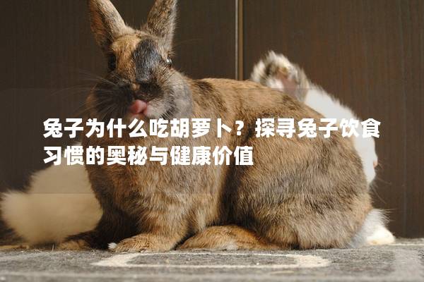 兔子为什么吃胡萝卜？探寻兔子饮食习惯的奥秘与健康价值