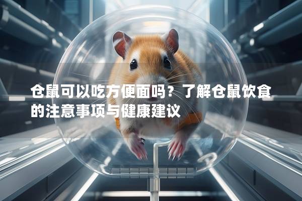 仓鼠可以吃方便面吗？了解仓鼠饮食的注意事项与健康建议