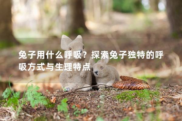 兔子用什么呼吸？探索兔子独特的呼吸方式与生理特点