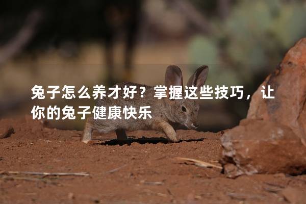 兔子怎么养才好？掌握这些技巧，让你的兔子健康快乐