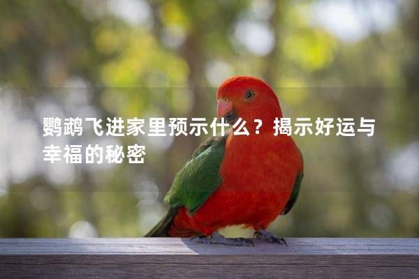 鹦鹉飞进家里预示什么？揭示好运与幸福的秘密