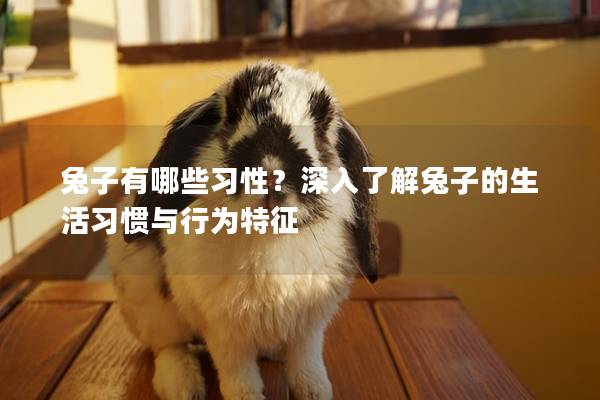 兔子有哪些习性？深入了解兔子的生活习惯与行为特征
