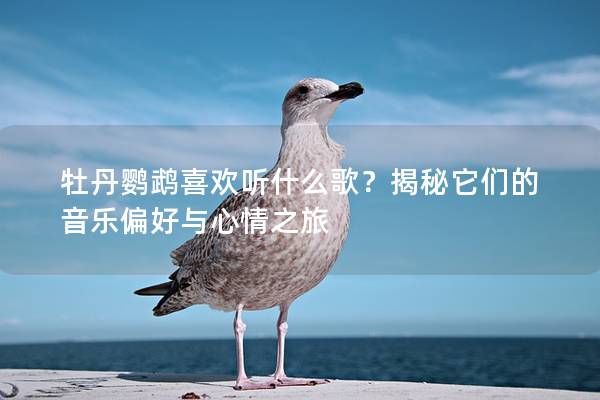 牡丹鹦鹉喜欢听什么歌？揭秘它们的音乐偏好与心情之旅