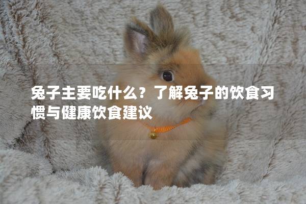兔子主要吃什么？了解兔子的饮食习惯与健康饮食建议