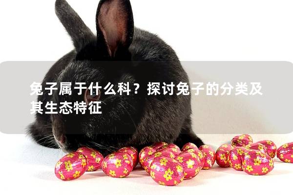 兔子属于什么科？探讨兔子的分类及其生态特征