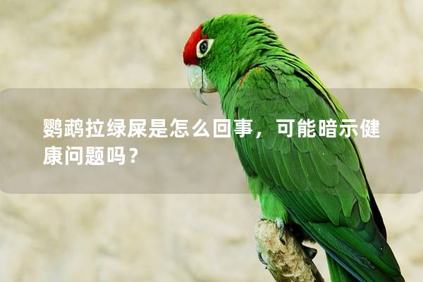 鹦鹉拉绿屎是怎么回事，可能暗示健康问题吗？