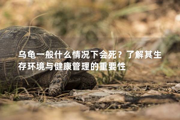 乌龟一般什么情况下会死？了解其生存环境与健康管理的重要性