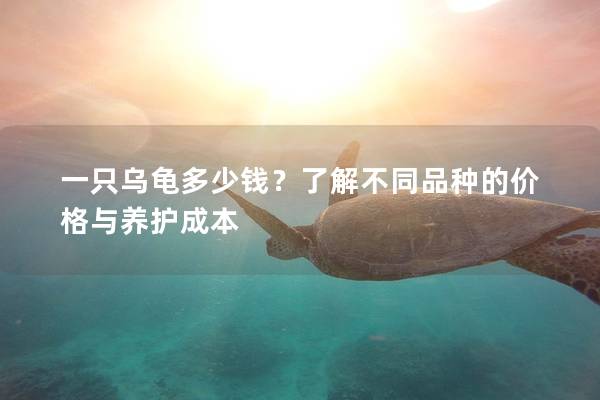 一只乌龟多少钱？了解不同品种的价格与养护成本
