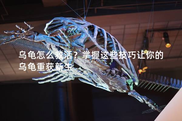 乌龟怎么救活？掌握这些技巧让你的乌龟重获新生