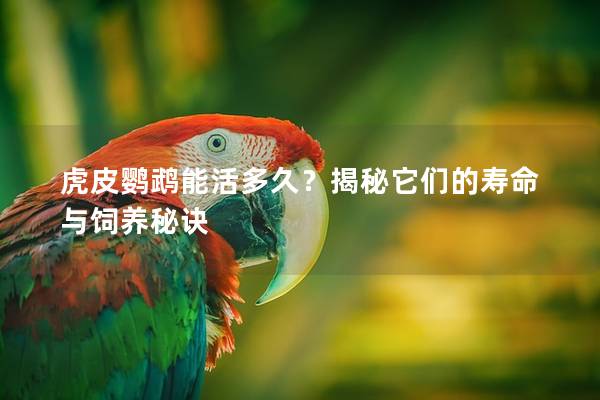 虎皮鹦鹉能活多久？揭秘它们的寿命与饲养秘诀