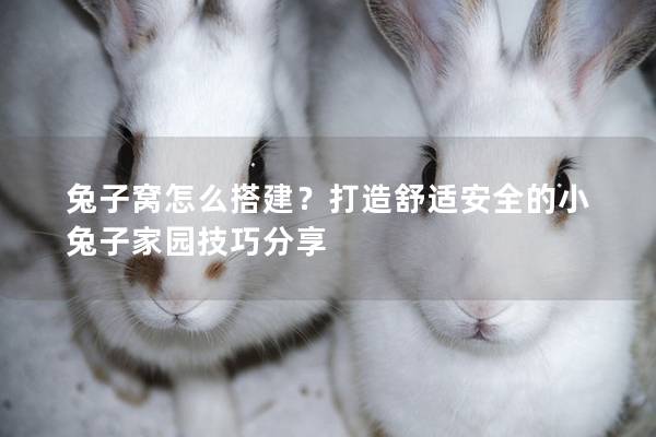 兔子窝怎么搭建？打造舒适安全的小兔子家园技巧分享