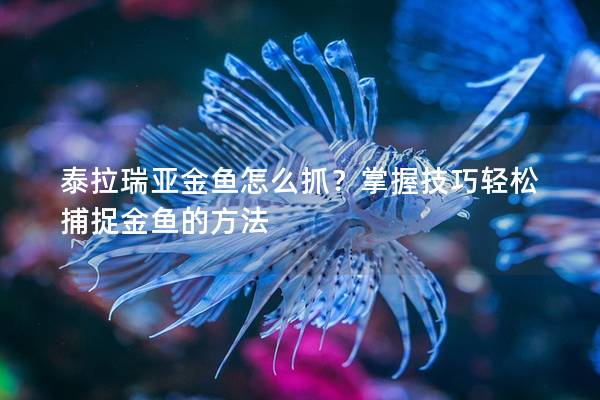 泰拉瑞亚金鱼怎么抓？掌握技巧轻松捕捉金鱼的方法