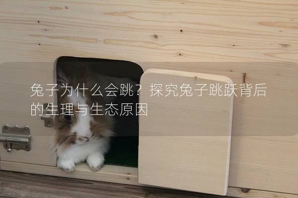兔子为什么会跳？探究兔子跳跃背后的生理与生态原因