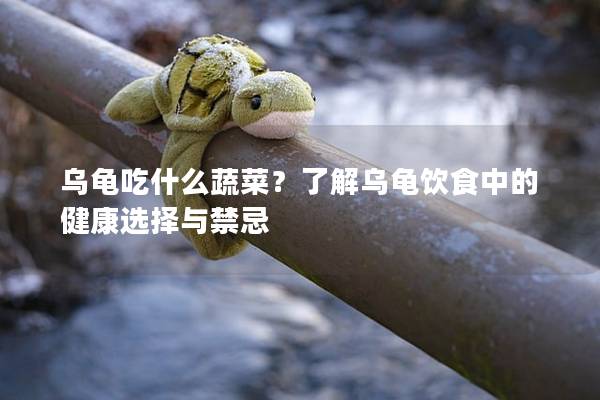 乌龟吃什么蔬菜？了解乌龟饮食中的健康选择与禁忌