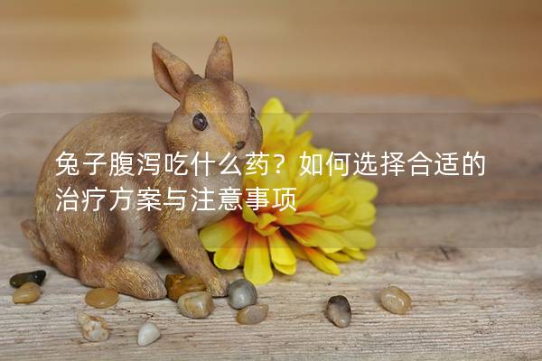 兔子腹泻吃什么药？如何选择合适的治疗方案与注意事项