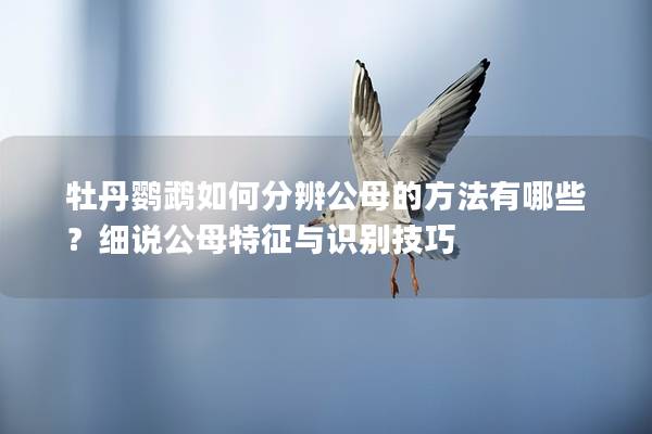 牡丹鹦鹉如何分辨公母的方法有哪些？细说公母特征与识别技巧