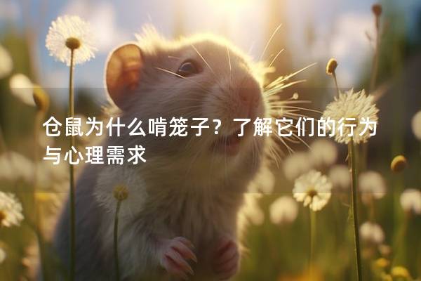 仓鼠为什么啃笼子？了解它们的行为与心理需求