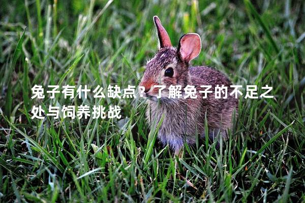 兔子有什么缺点？了解兔子的不足之处与饲养挑战