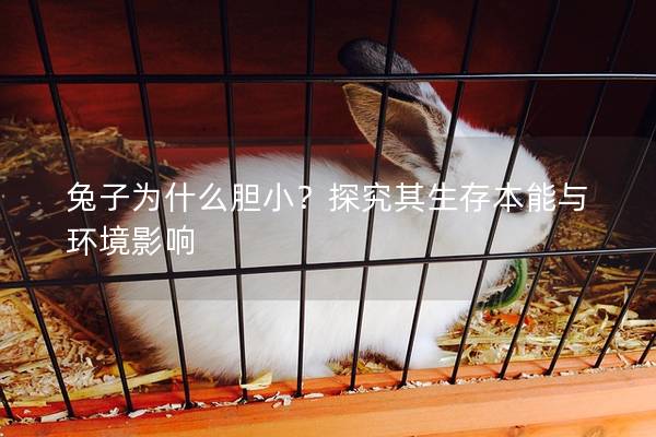 兔子为什么胆小？探究其生存本能与环境影响